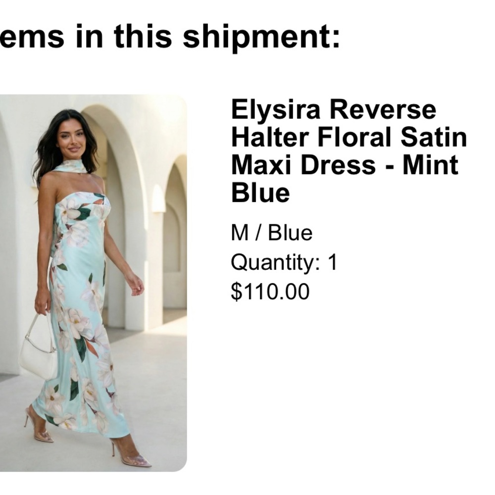 Elysira Mint Blue Floral Satin Reverse Halter Maxi Dress